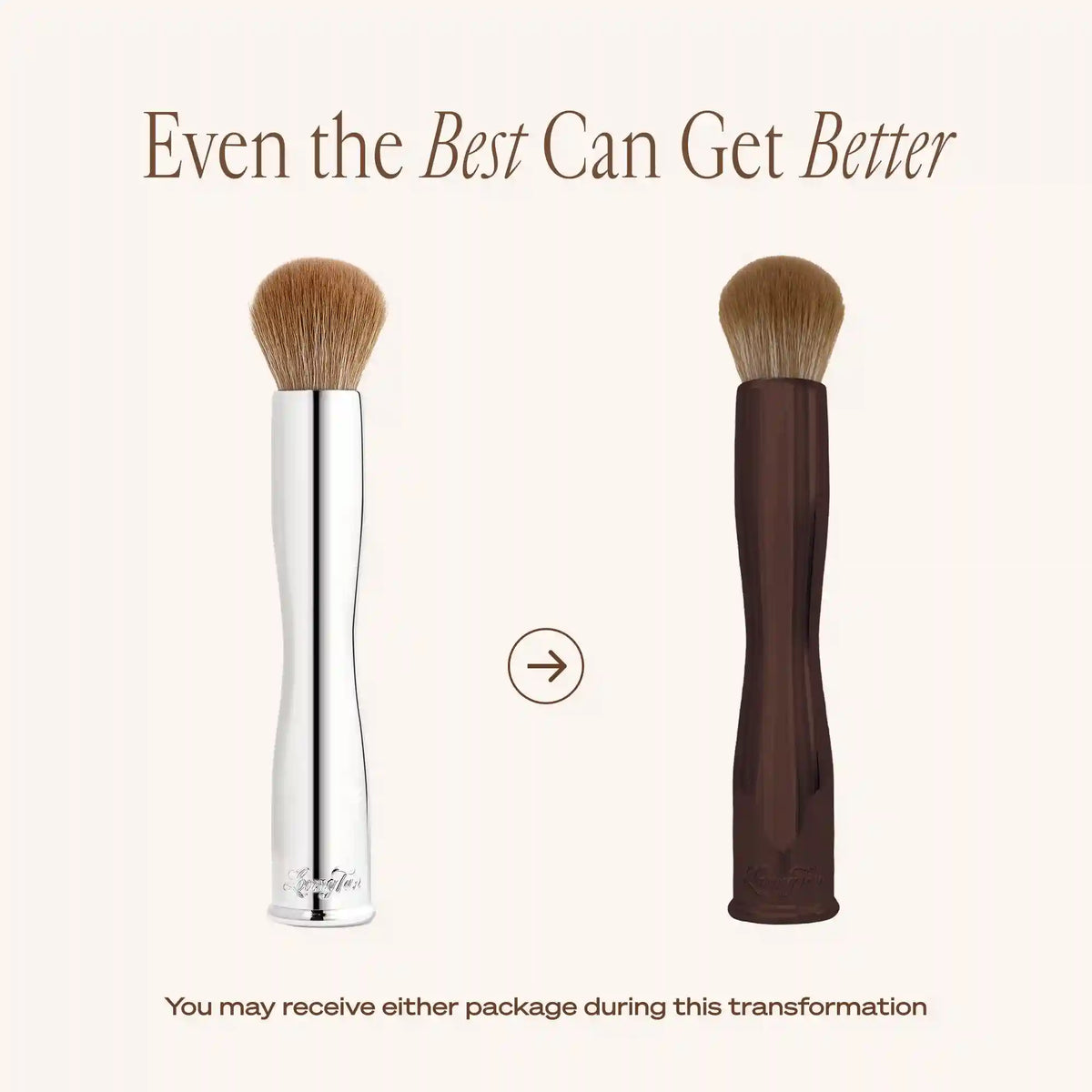 Flawless Face Brush